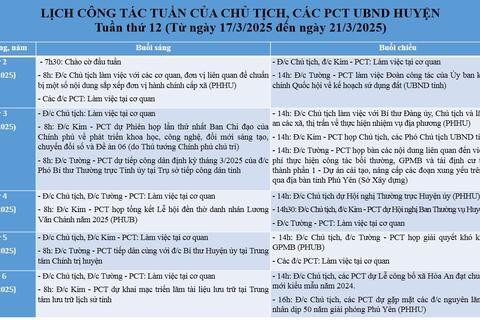 Lịch tuần 12